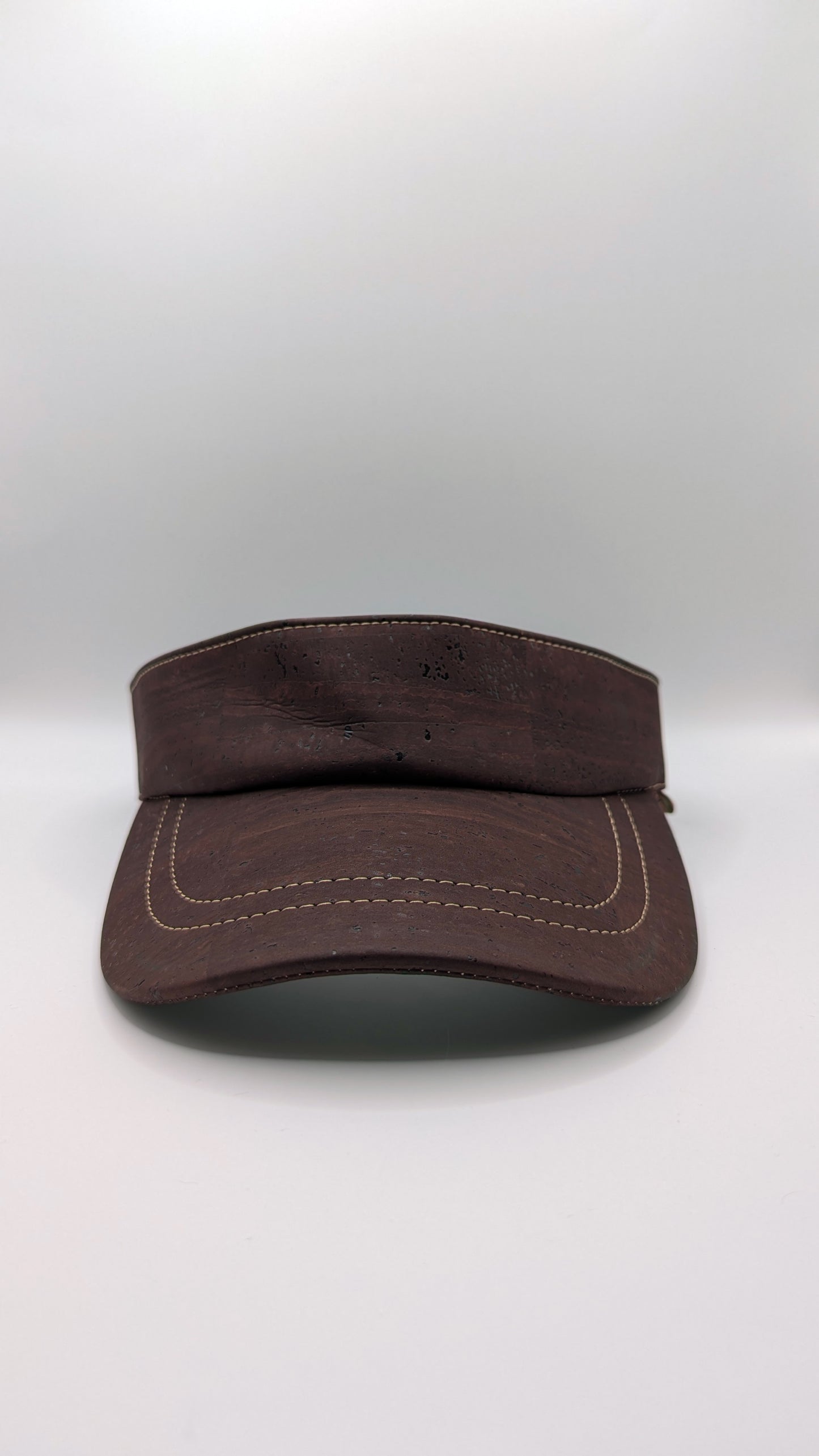 Sun Visor