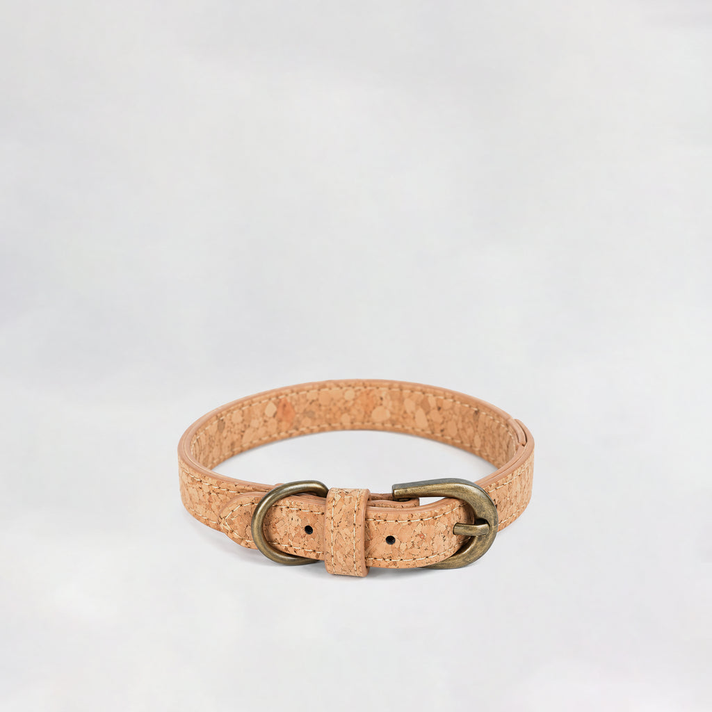 Pet Leash & Collar Set