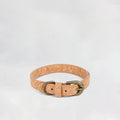 Pet Leash & Collar Set
