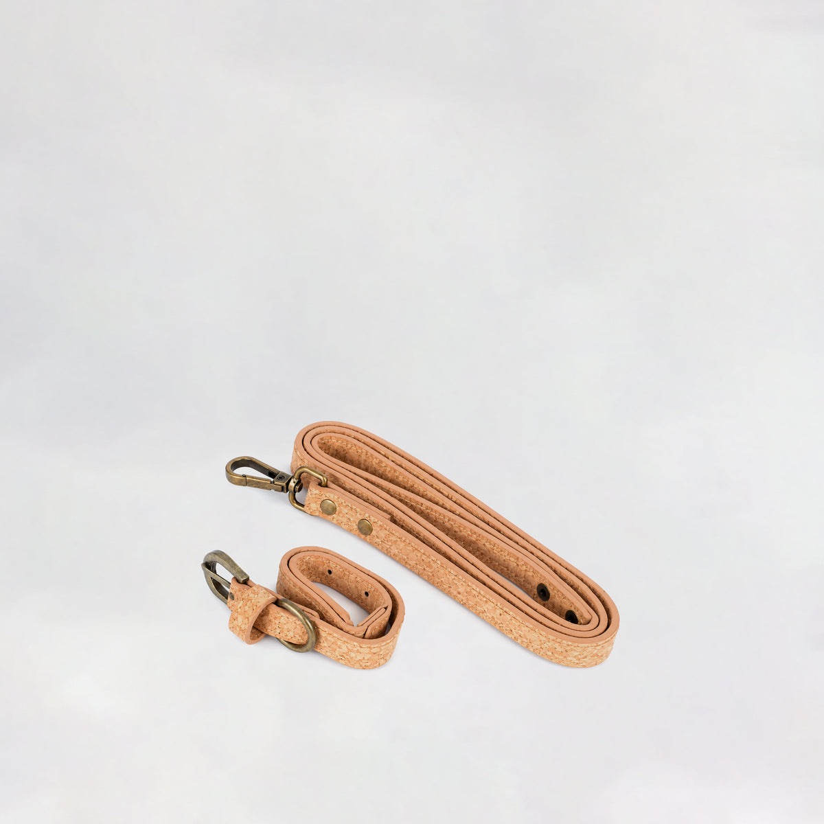 Pet Leash & Collar Set